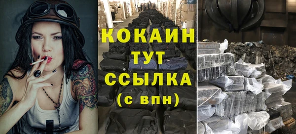 амф Магас