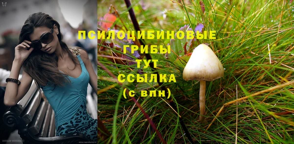 СК Магадан