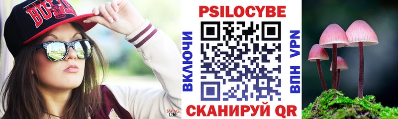 закладки  Находка  Псилоцибиновые грибы MAGIC MUSHROOMS 