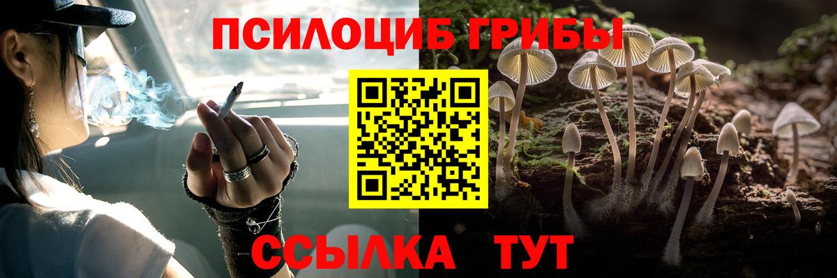 Псилоцибиновые грибы Magic Shrooms Находка