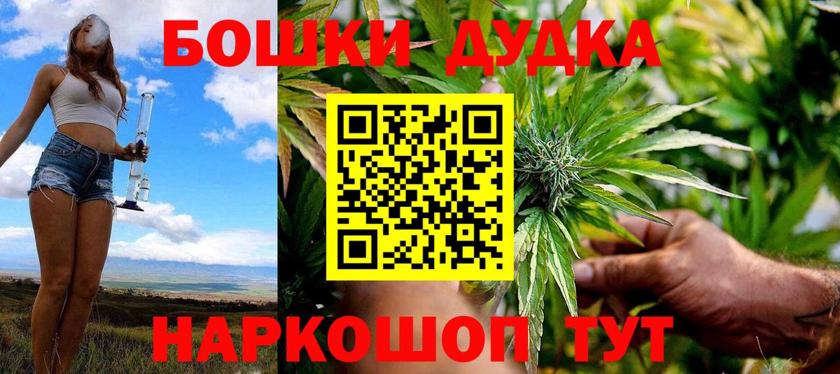 Бошки Шишки планчик Находка